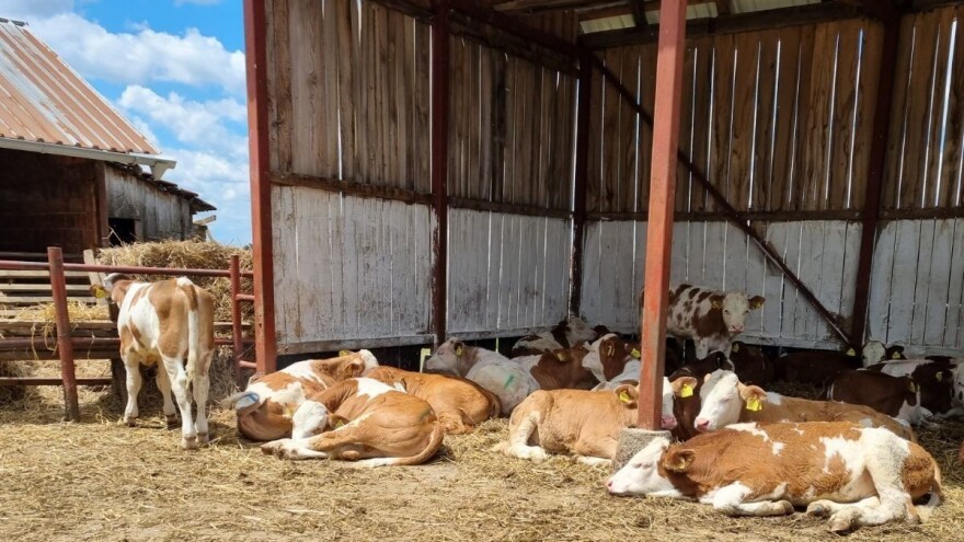 Stočarima osigurana potpora od gotovo šest milijuna kuna u naredne tri godine