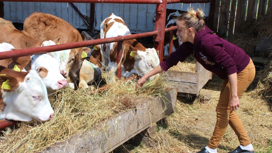 Međunarodni dan seoskih žena - šta ako bi bile ravnopravne s muškarcima?