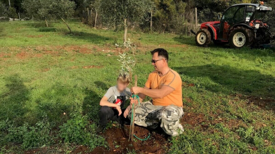 Maslinovo ulje Damira Vanđelića među top 6 najboljih u Europi