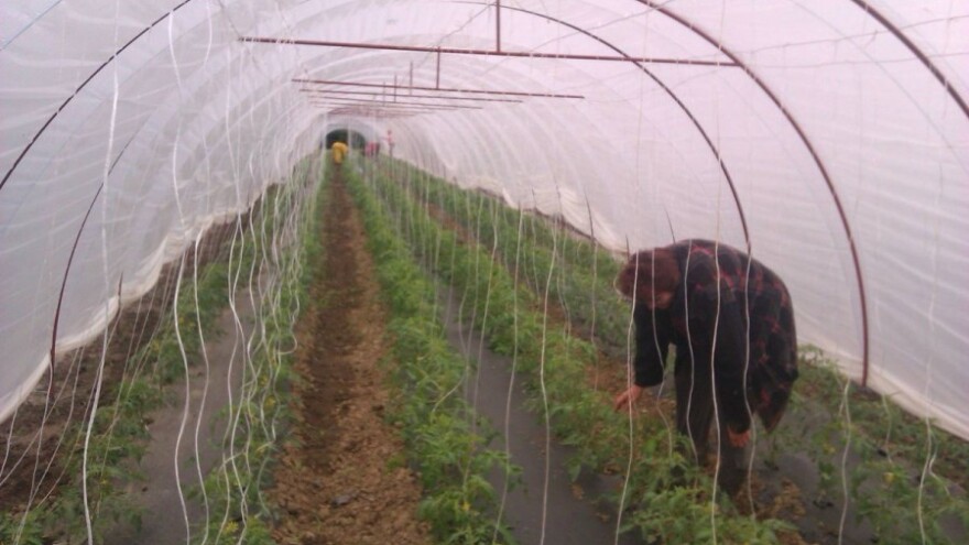 Najbolji mladi poljoprivrednici u Bruxellesu
