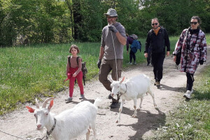 Z cugom v zeleno Međimurje i na farmu koza obitelji Zadravec