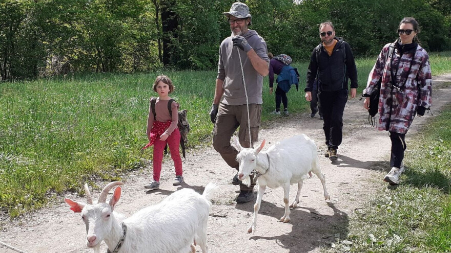 Z cugom v zeleno Međimurje i na farmu koza obitelji Zadravec