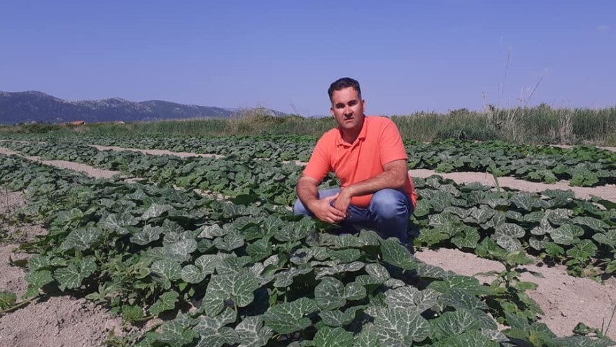 Batat iz doline Neretve: Željko Bjeliš odvažio se na, za ovaj kraj, neobičnu kulturu