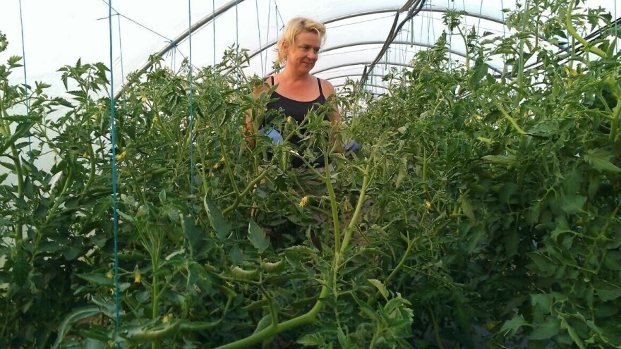 Nema većeg zadovoljstva od ubiranja plodova vlastitog rada koji su k tome ekološki