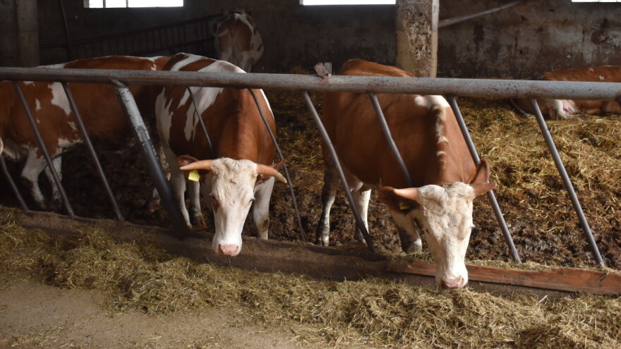 Javni poziv: Pet milijuna kuna za projekte kojima se potiče udruživanje poljoprivrednika