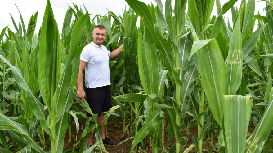 Mario Živković: Cijena stočne hrane je sve viša pa je priprema kvalitetne silaže još važnija