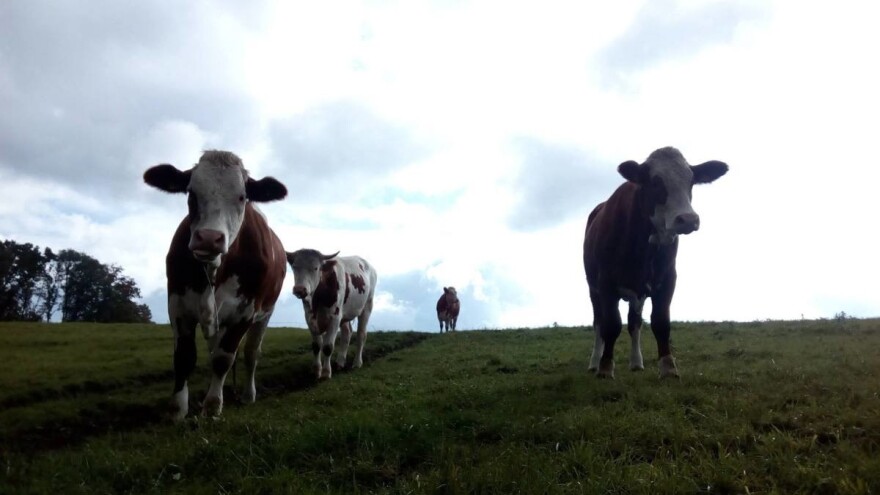 Trinaest zašto i zato Udruge OPG-a Hrvatske Život