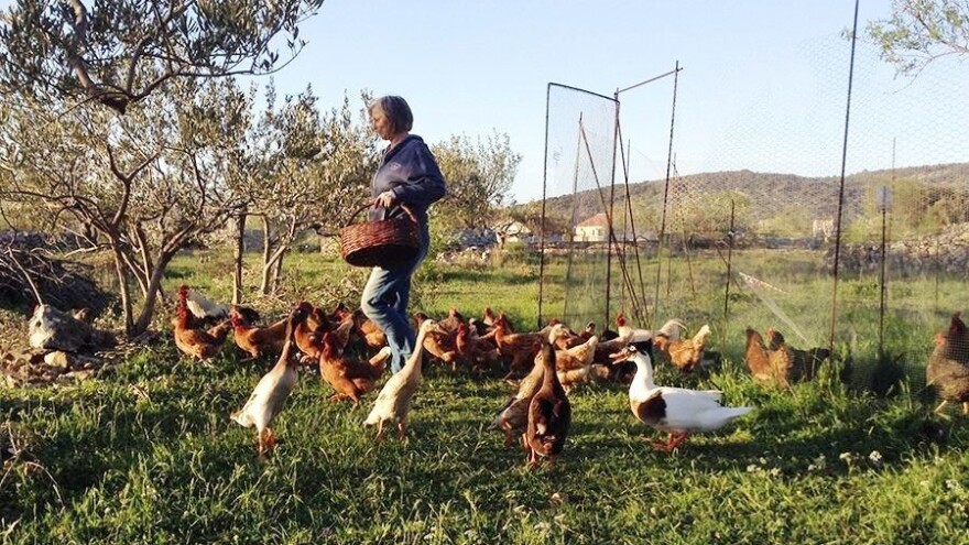 Vesna Rožić: Permakultura je "putovanje", svatko bi trebao dati malo da bi svi imali više