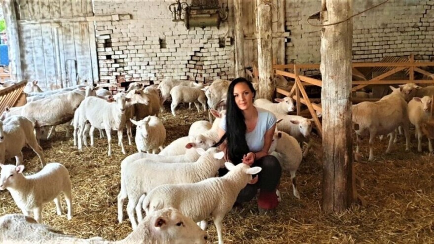 Diplomirala menadžment, otvorila OPG i prva u Hrvatsku uvezla britansku mliječnu ovcu