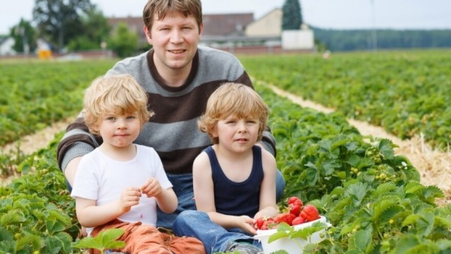 Poljoprivredna gospodarstva jedini su izlaz iz krize