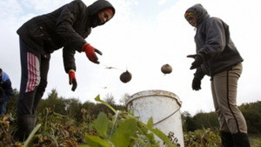 Inicijativa za stvaranje opće hrvatske udruge OPG-a