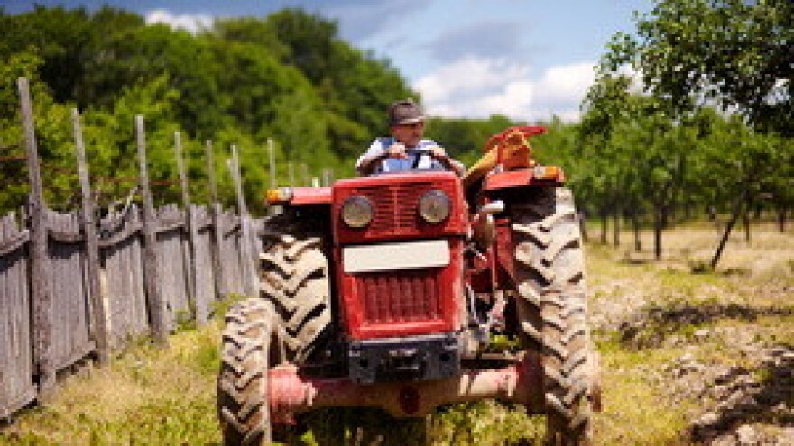 Što je danas OPG u Hrvatskoj?