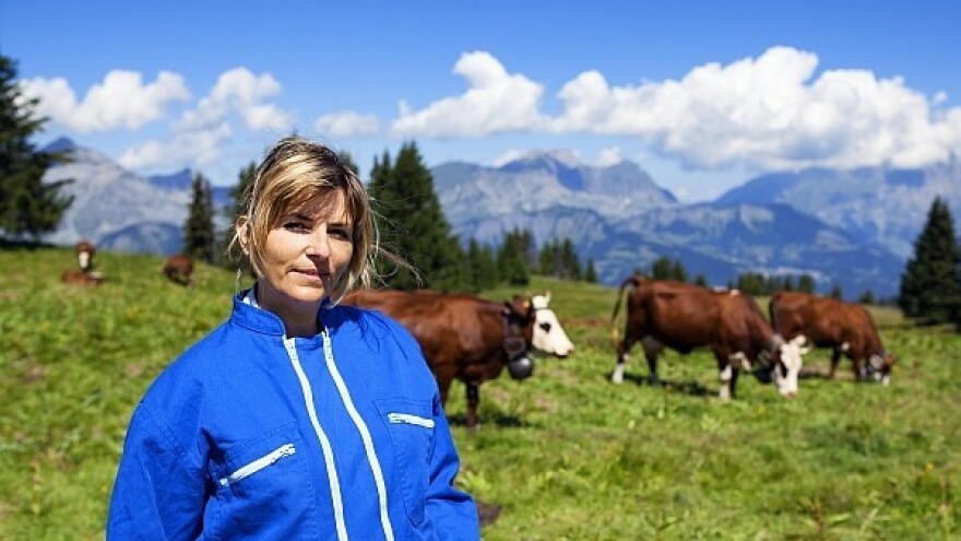 Što možemo naučiti od Austrije?