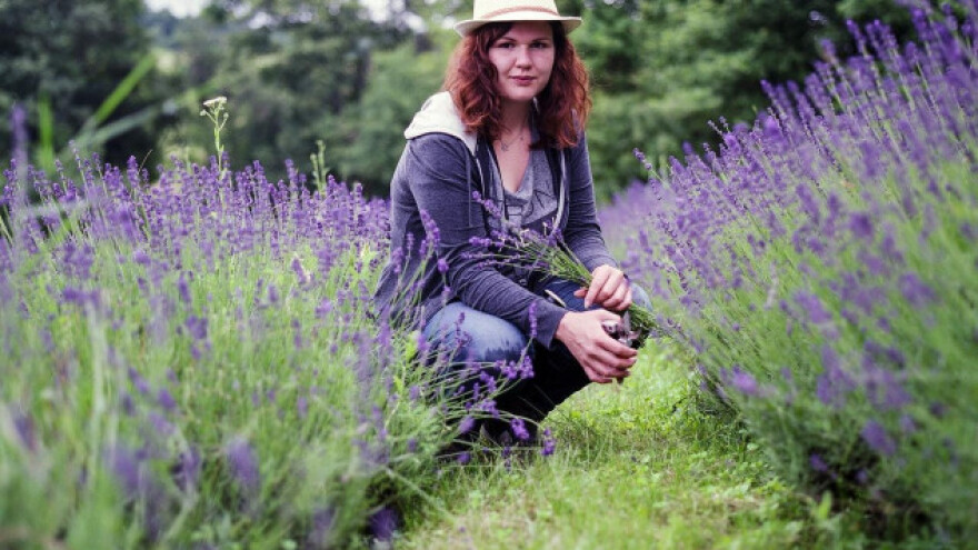 Jedini Vukovarci koji se bave uzgojem budrovke