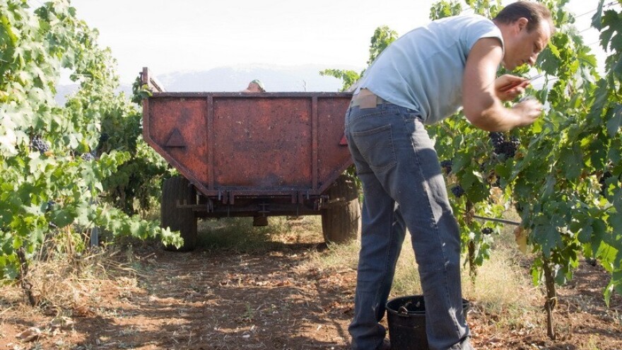 OPG u sustavu potpora kao socijalna kategorija!