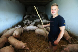 Senkić: Ja sam nazadan - napredni gledaju novce