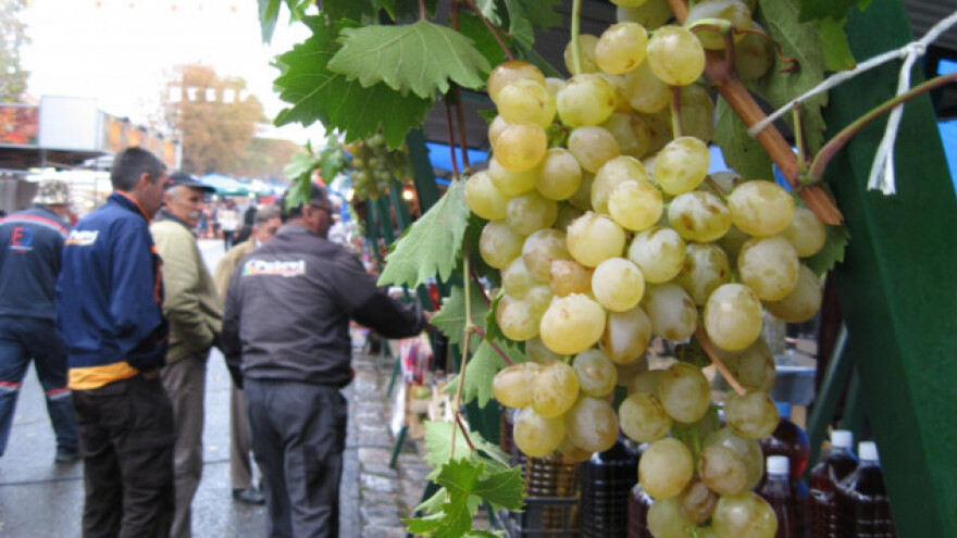 Oplenačka berba u slavu vina i grožđa