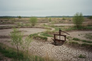 Opljačkani Todorićevi ribnjaci