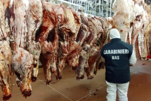 Ilegalne klaonice, istekao rok trajanja: U akciji zaplijenjena hrana vrijedna 95 miliona eura