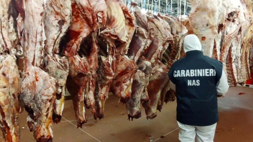 Ilegalne klanice, istekao rok trajanja: U akciji zaplenjena hrana vredna 95 miliona evra