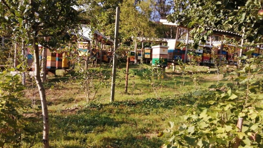 Pčelarenje u eri ekstremnih klimatskih pojava - hoće li i u kojem obliku preživjeti u Hrvatskoj?