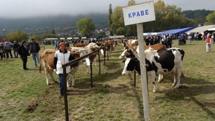 Ne propustite poljoprivrednu izložbu u Rogatici