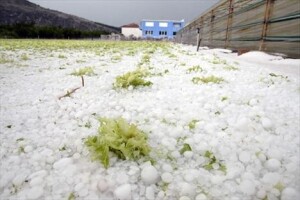 Velike štete od tuče u dolini Neretve