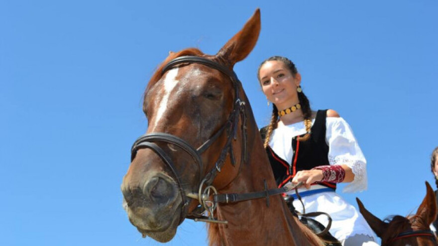 Samaržija, Pilaš i Bičanić pobrali titule naj orača