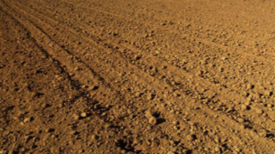 Sije se bez unaprijed poznatog kupca i cijene