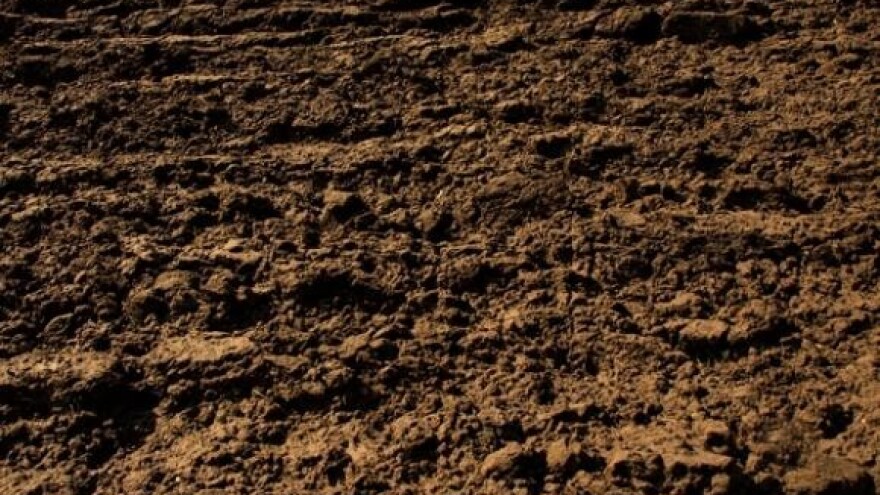 Zakon po Pankretiću: Oranicu ne možete ni kupiti ni prodati!?