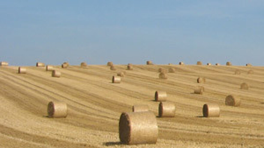 Zakupljene sve parcele