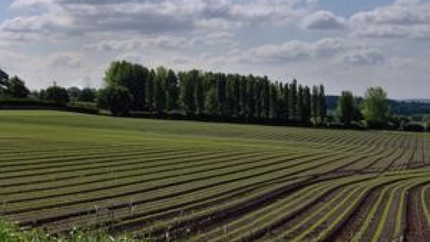 Značaj plodoreda u ostvarivanju izravnih plaćanja