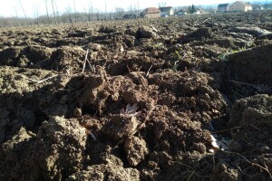 Mjera 21: izdano prvih 940 Odluka o isplati 46 milijuna kuna potpore