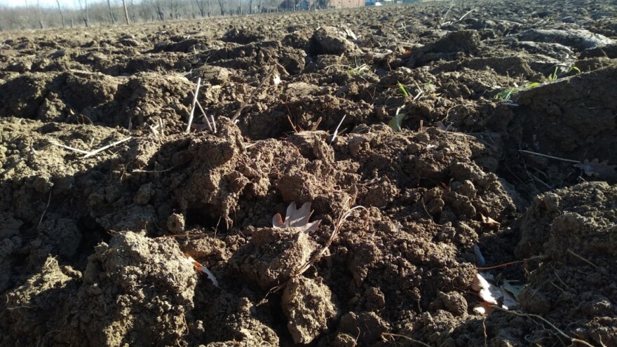 Mjera 21: izdano prvih 940 Odluka o isplati 46 milijuna kuna potpore