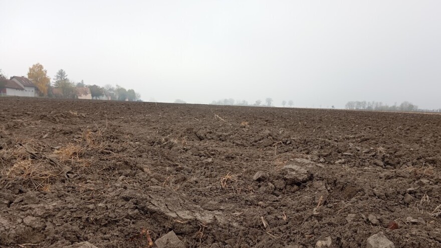 Stabilno vreme, uz pojavu mraza. Kada ponovo možemo očekivati sneg?