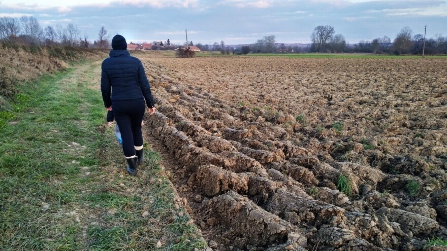 Kako se ponašaju azot, fosfor i kalijum u zemljištu?