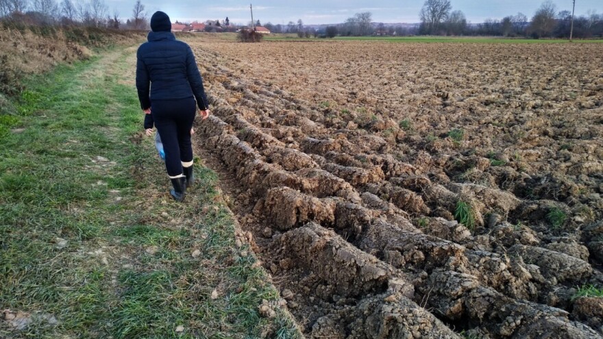 Jutarnja magla i mraz u nižim predelima, na planinama moguć sneg