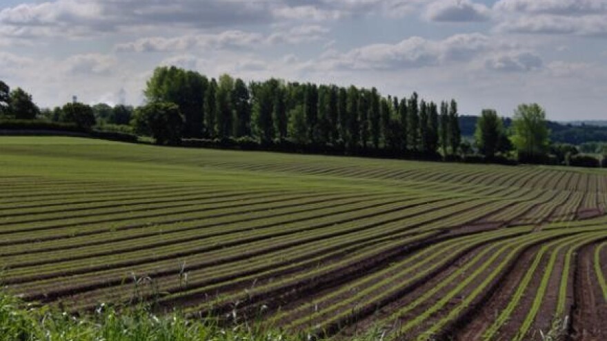 Održano natjecanje orača Karlovačke županije