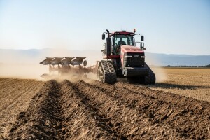 Oranje na visokim temperaturama