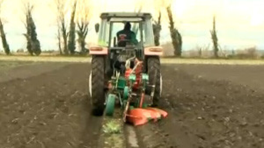 Upoznajte hrvatske reprezentativce u - oranju!