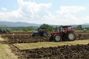 Održano 5. natjecanje u orača Splitsko-dalmatinske županije