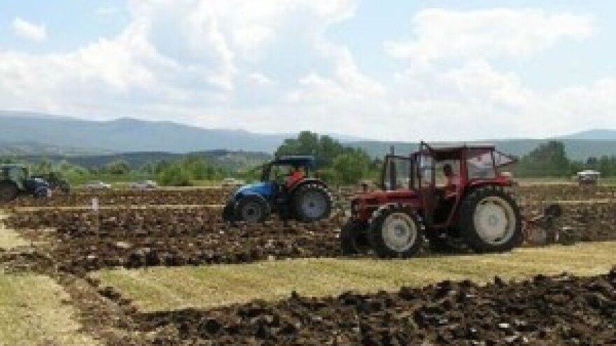 Održano 5. natjecanje u orača Splitsko-dalmatinske županije