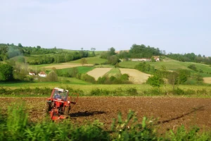 Pravilne agrotehničke mere koje izostaju