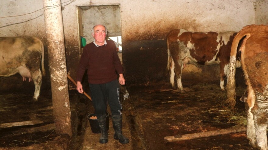 U sedmoj deceniji života brinu o punoj štali goveda