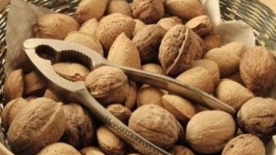Dani oraha i lješnjaka u Bojani