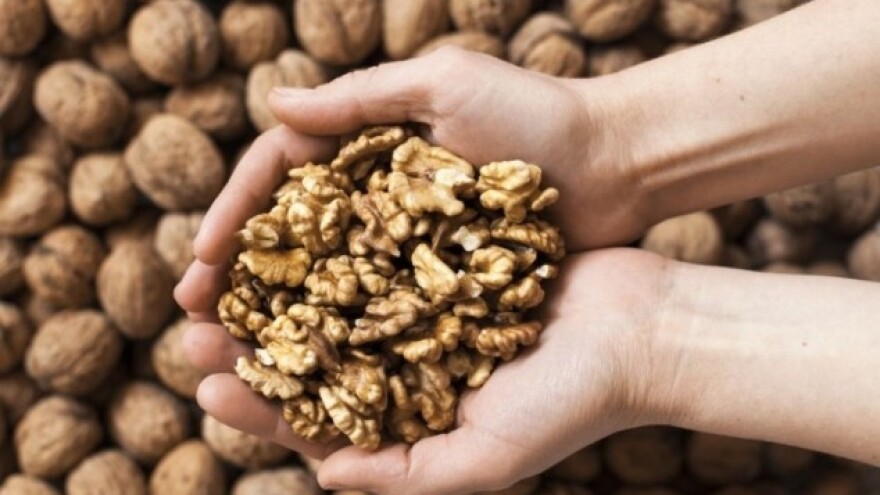 Najviše oraha proizvedu i pojedu SAD i Kina