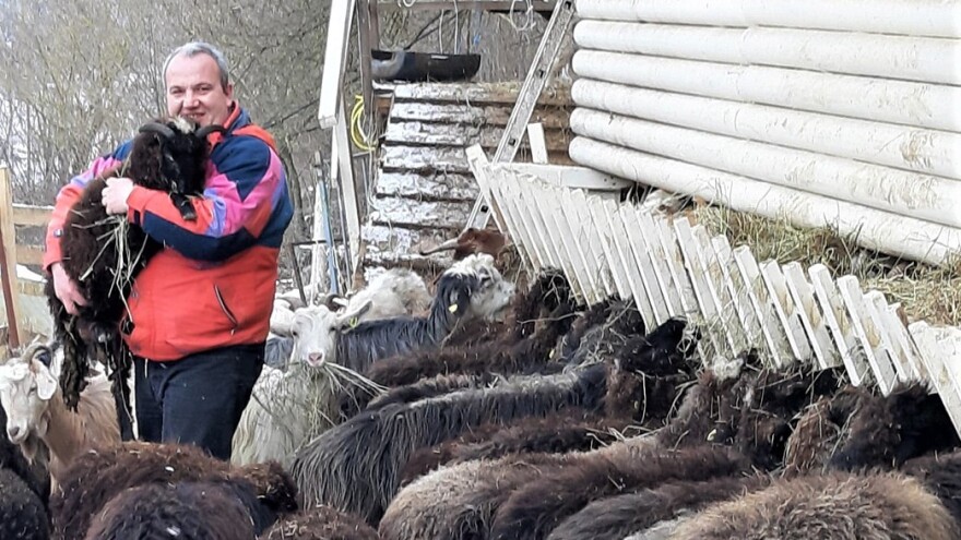 Sir od mleka buše i balkanske koze - novo u vranjskom etno selu