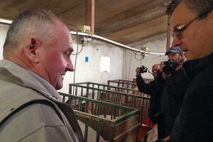 Orešković: Tražimo 1,8 milijuna svinja