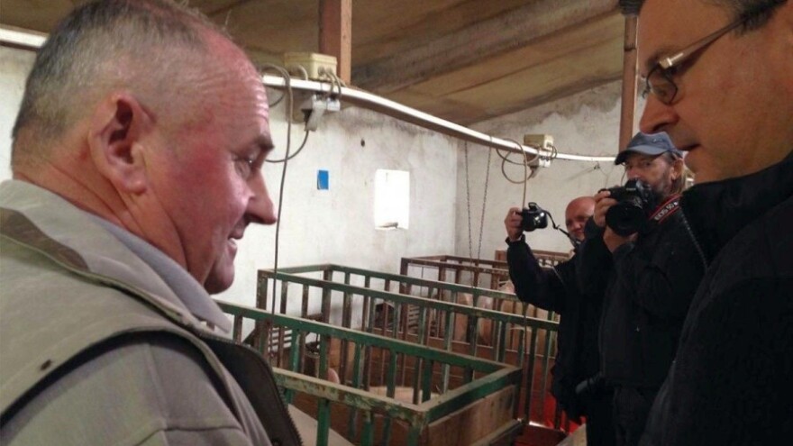 Orešković: Tražimo 1,8 milijuna svinja