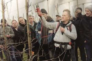 Peter Mathà ima nov način za bolji kvalitet ploda jabuke